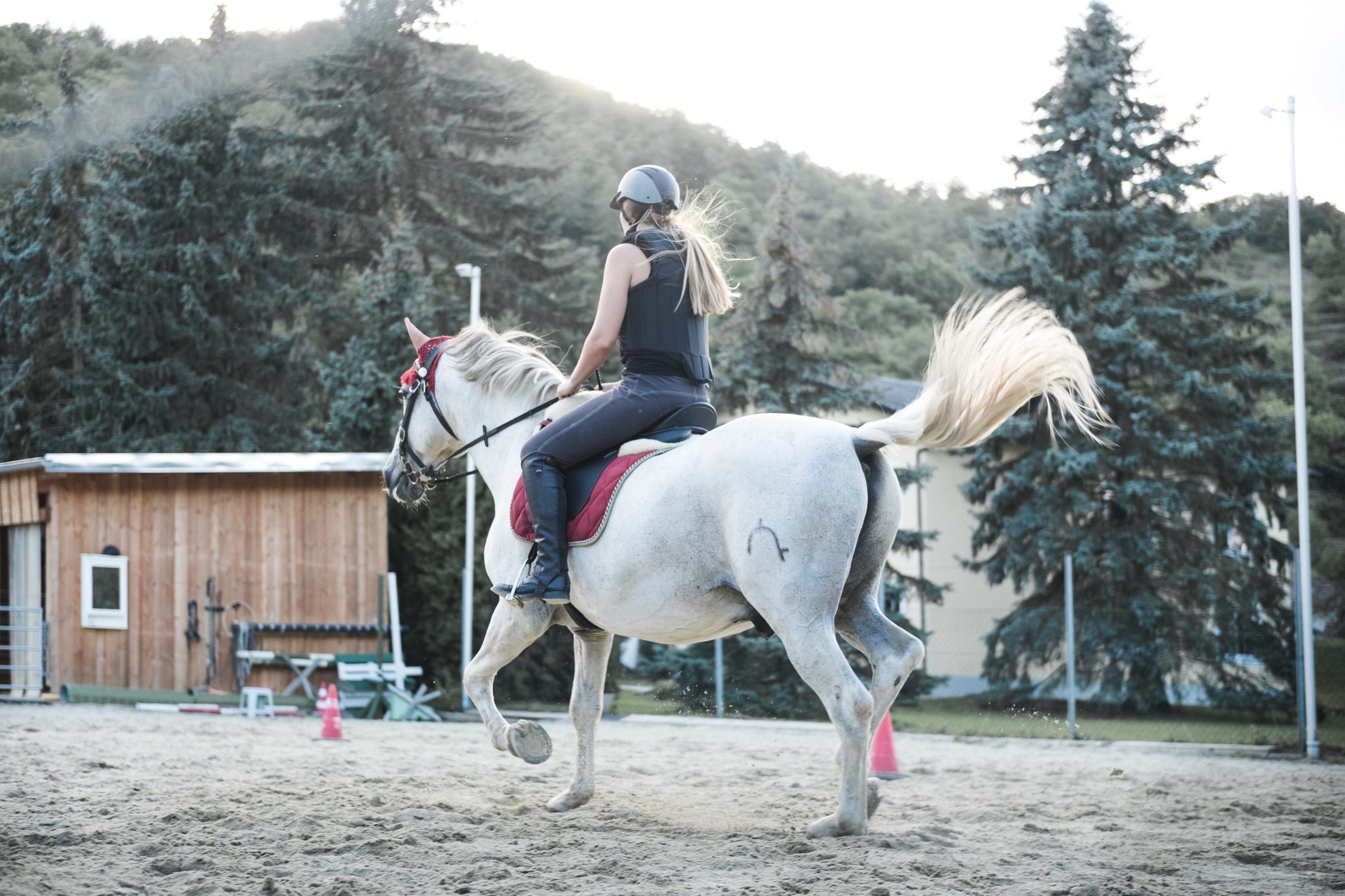 Bezpieczna jazda konna: wybieramy kask jeździecki